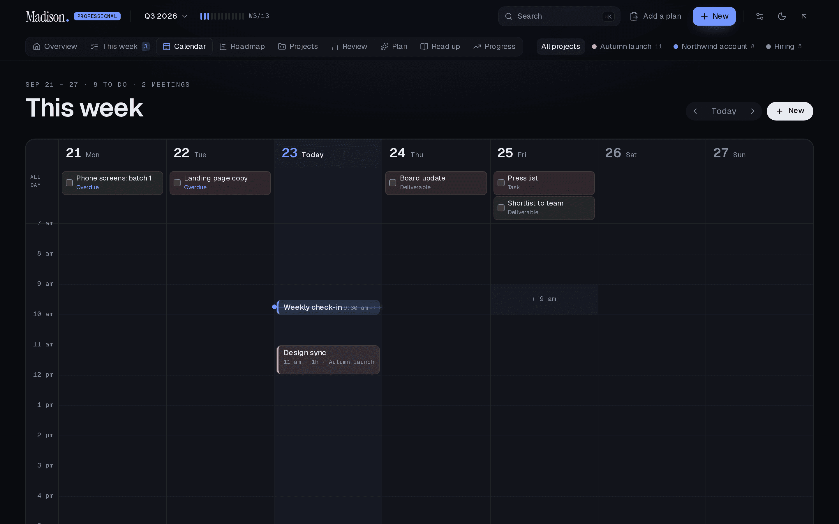 The Professional calendar: seven days over a time axis, meetings drawn at their hour and length